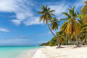 15 jours en martinique